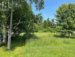 Lot Survey Post to immediate left of pole -