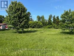 Facing the lots, this lot is on left hand side -