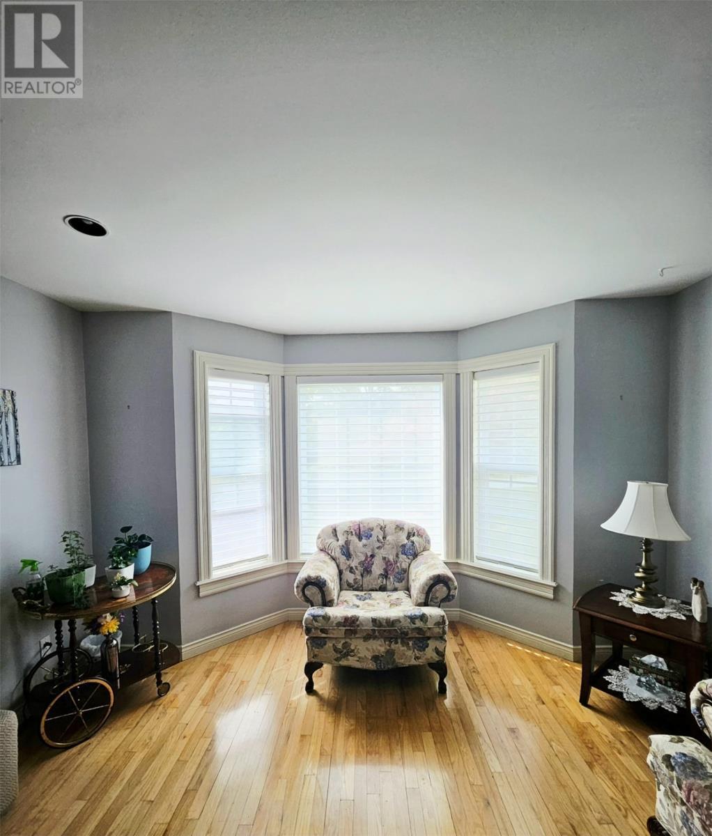 34 Chipmans Road, Spaniards Bay, NL - Indoor Photo Showing Living Room