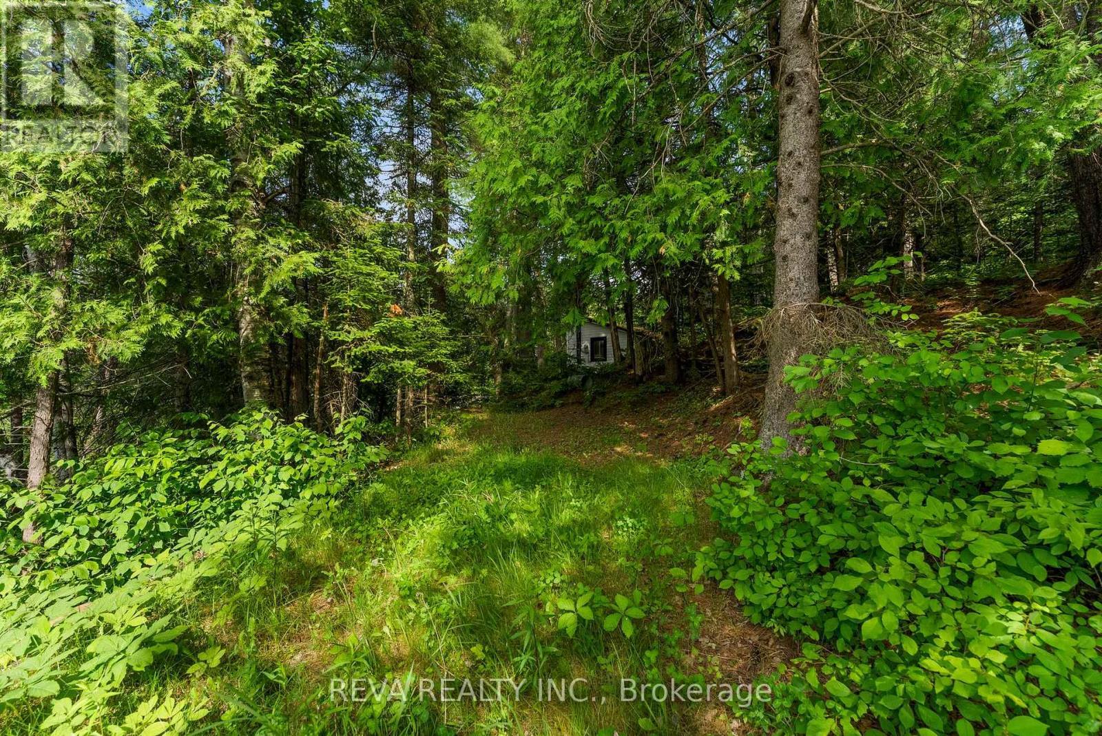 35532 Highway 28 Highway, Carlow/Mayo (Mayo Ward), ON - Outdoor