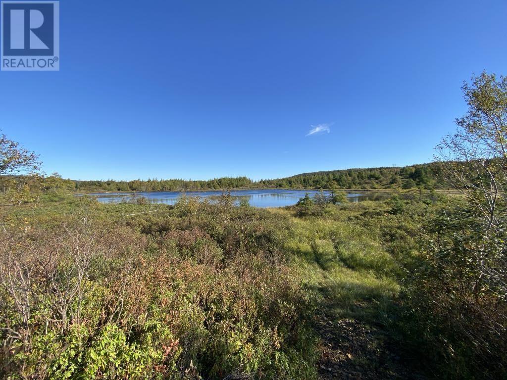 21 Reids Road, Conception Bay North, NL