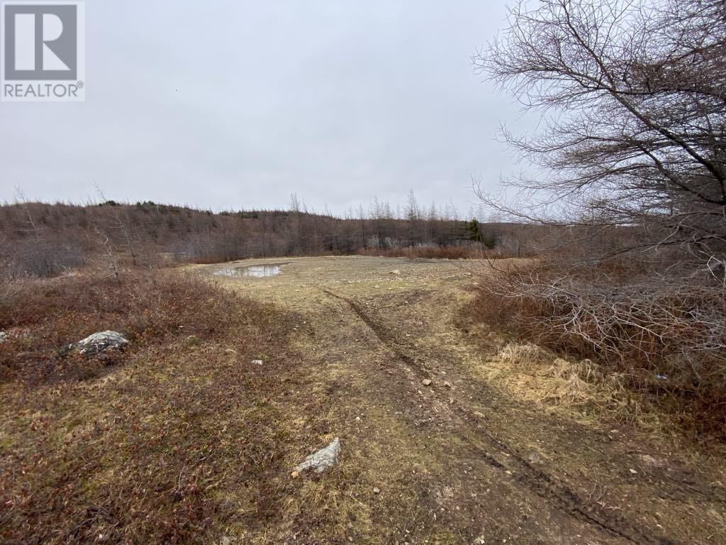 21 Reids Road, Conception Bay North, NL