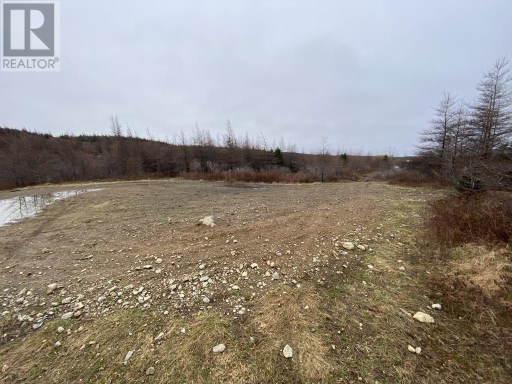 21 Reids Road, Conception Bay North, NL