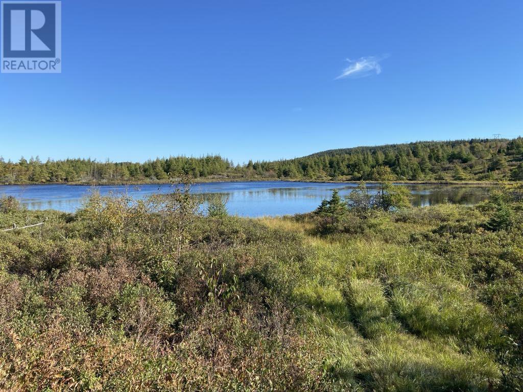 21 Reids Road, Conception Bay North, NL