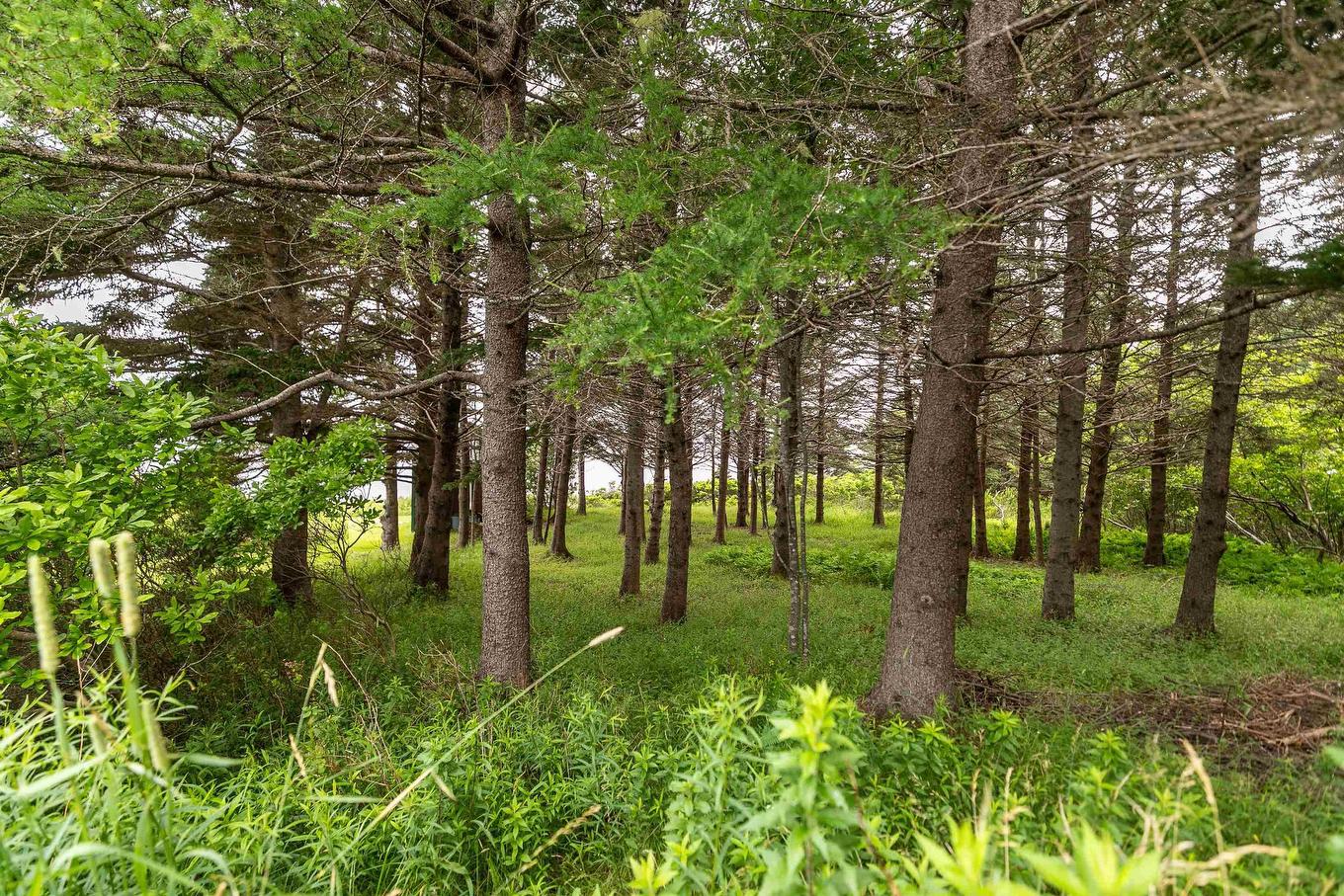 326 Upper Blandford Road, Deep Cove, NS