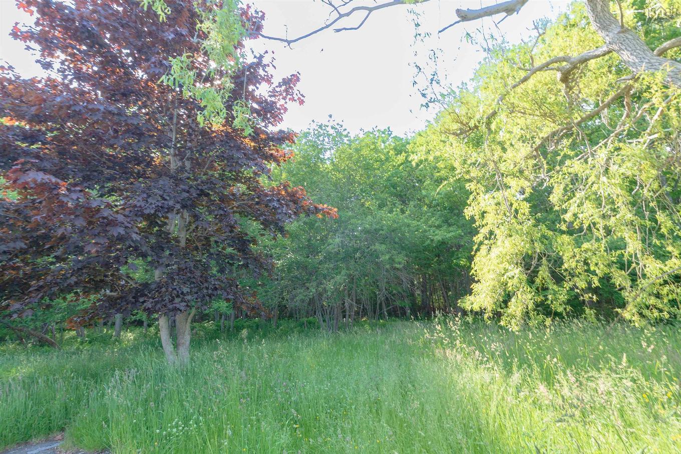 1554 Shore Road, Gunning Cove, NS