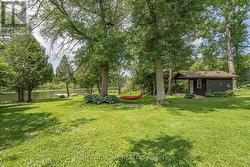 Enjoy the hammock! -