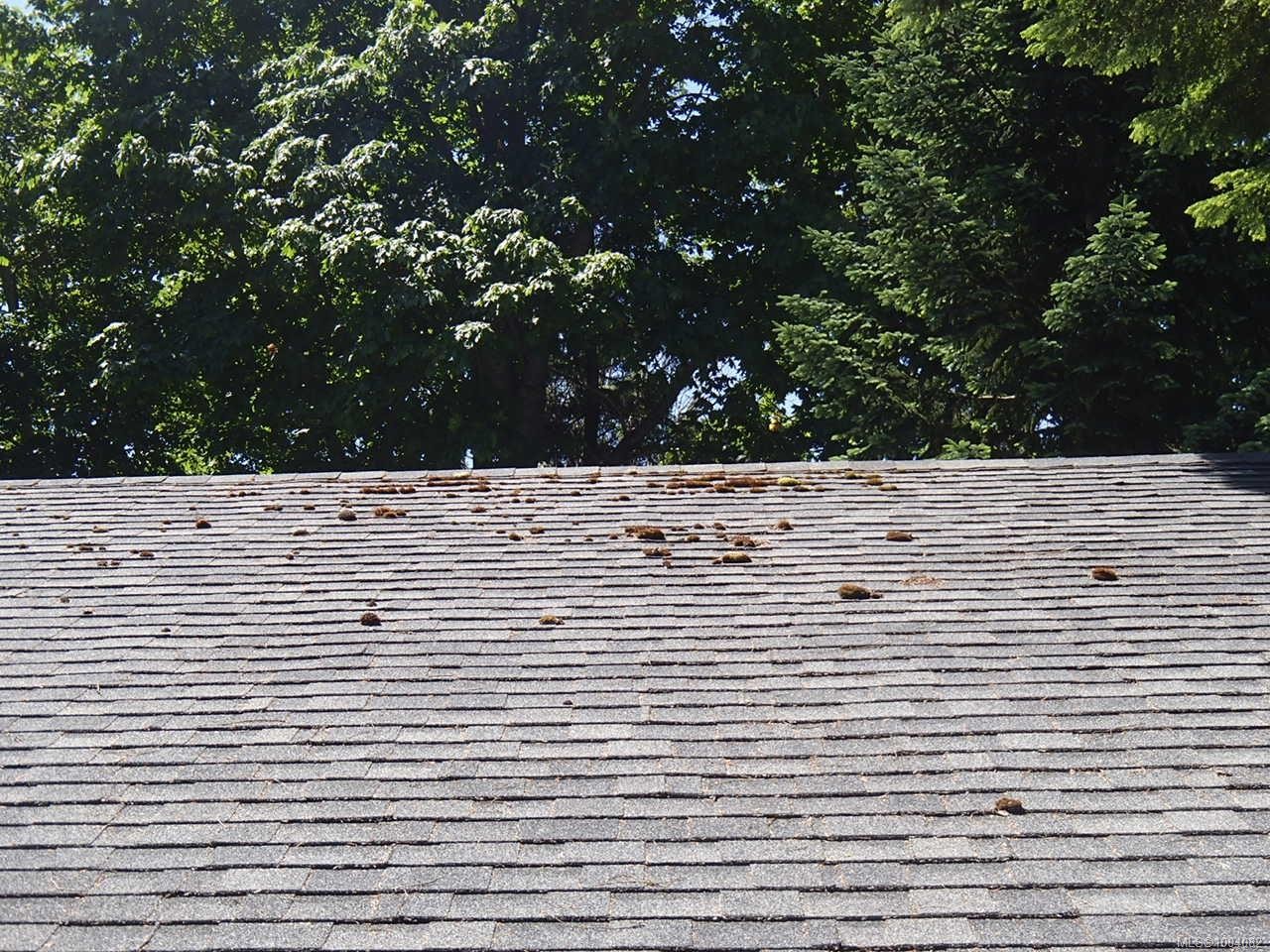 1526 Stag Rd, Campbell River, BC