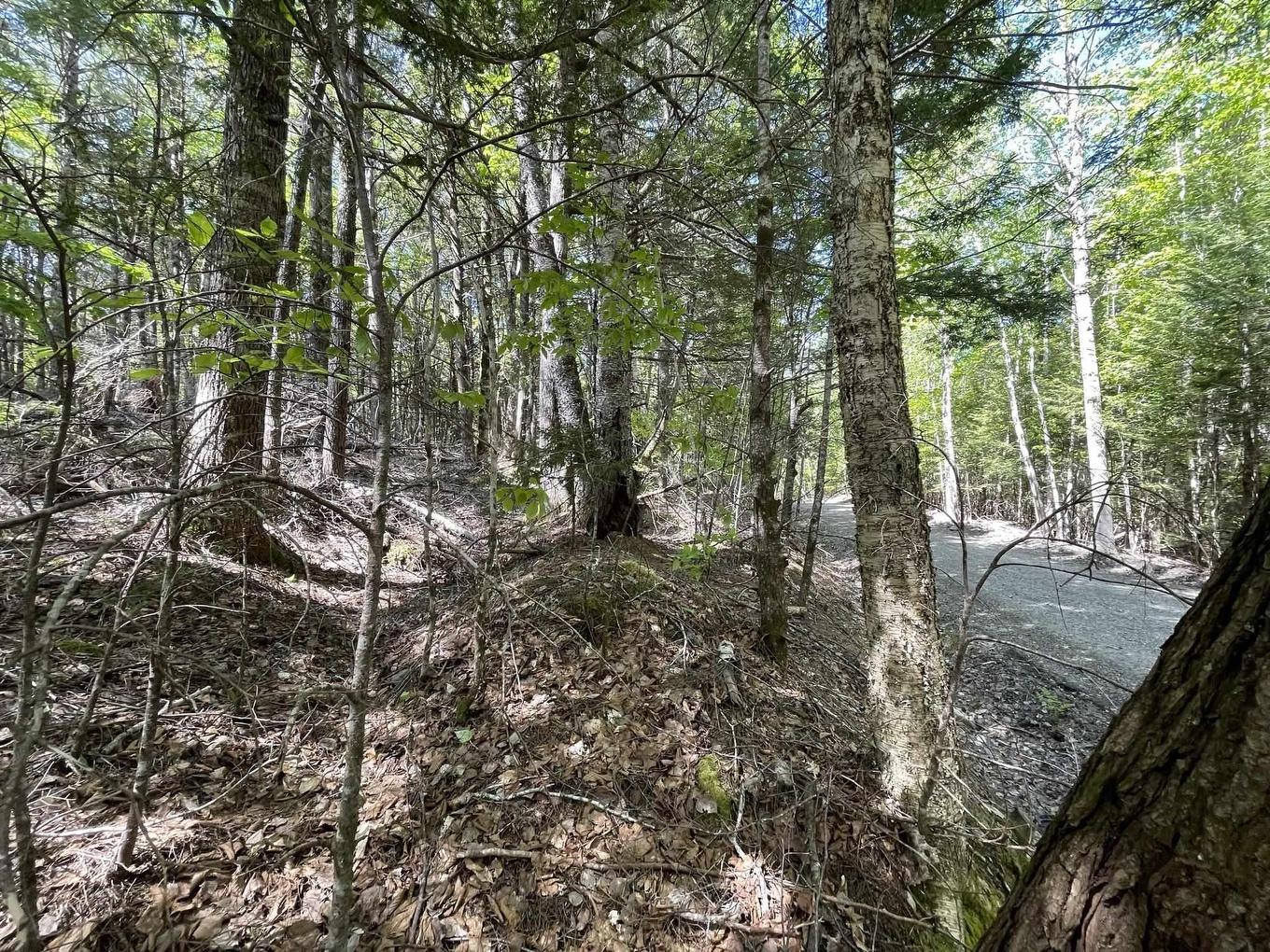 Lot 36 Beaver Dam Crossover, Labelle, NS