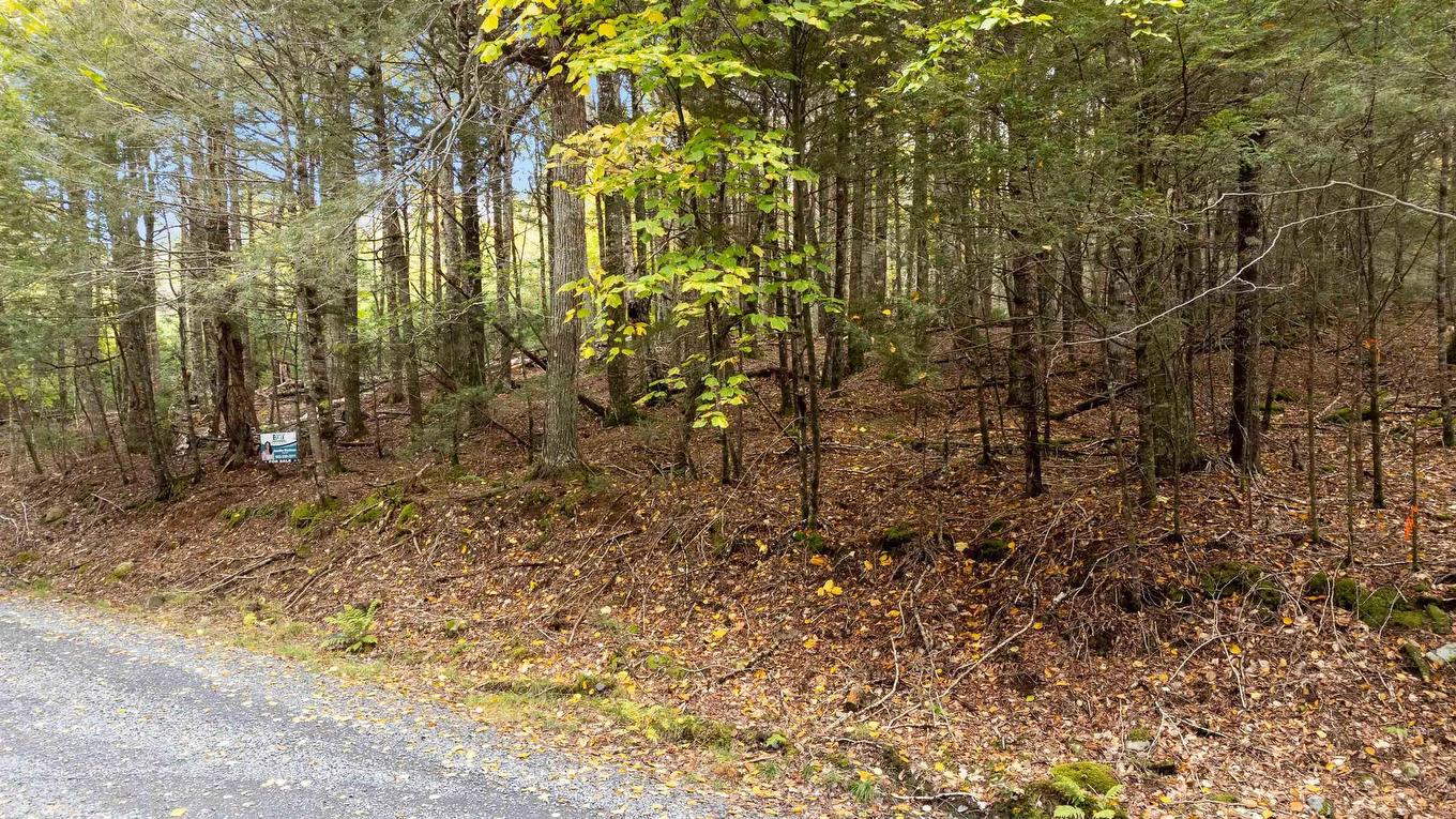 Lot 36 Beaver Dam Crossover, Labelle, NS