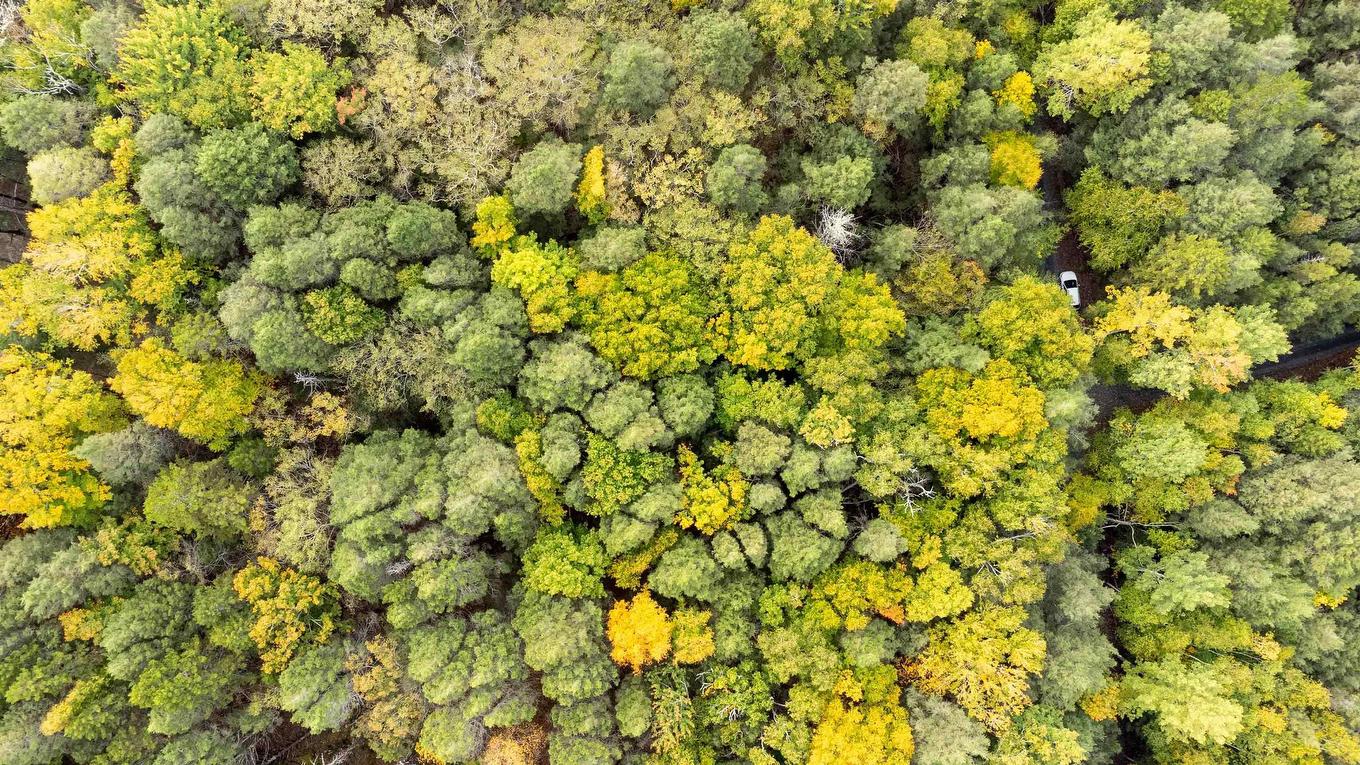 Lot 36 Beaver Dam Crossover, Labelle, NS