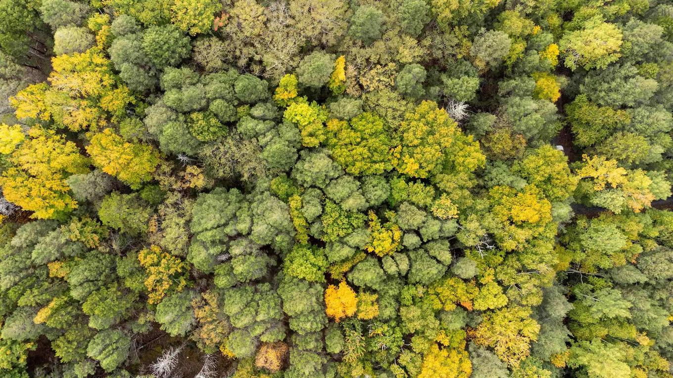 Lot 36 Beaver Dam Crossover, Labelle, NS