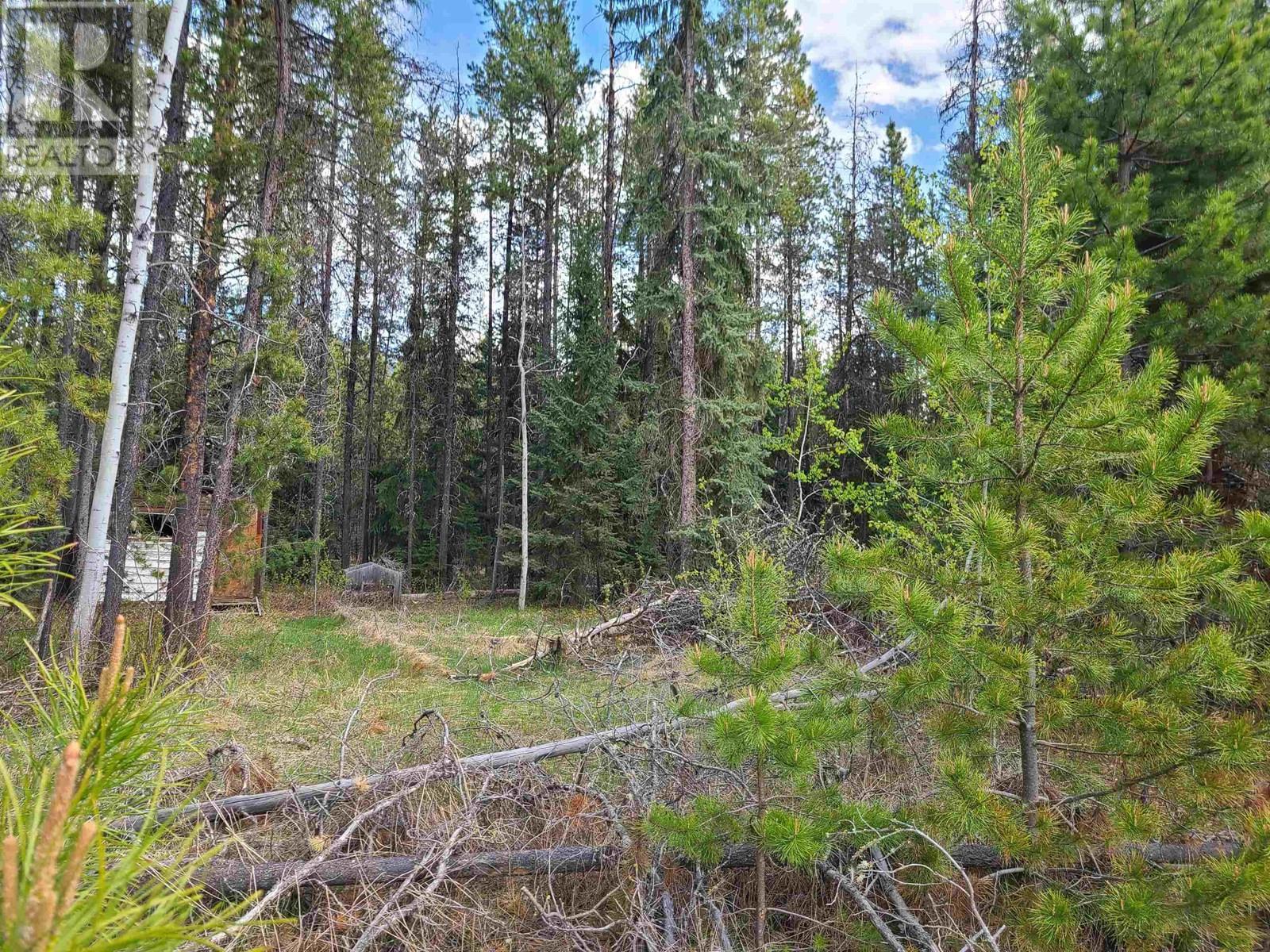 2300 Main Street, Valemount, BC