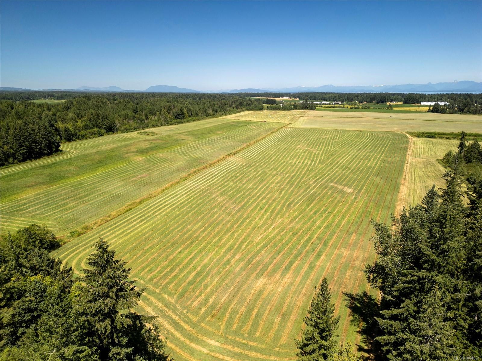 2332 Endall Rd, Black Creek, BC