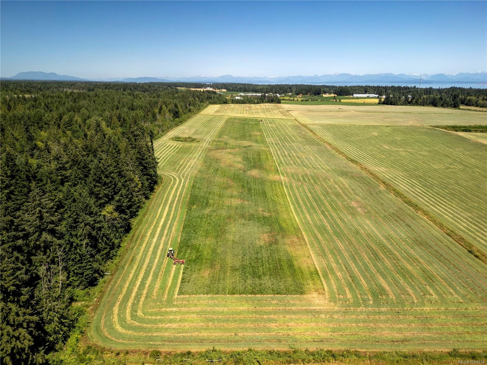 2332 Endall Rd, Black Creek, BC