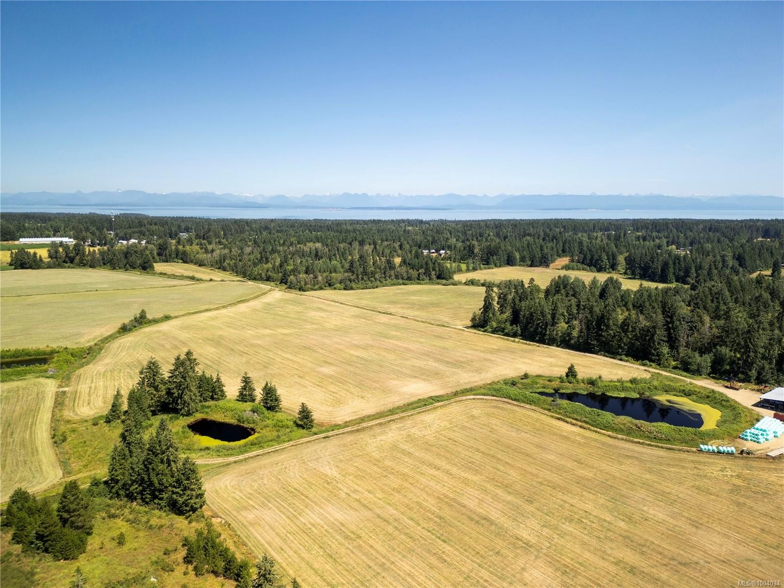 2332 Endall Rd, Black Creek, BC