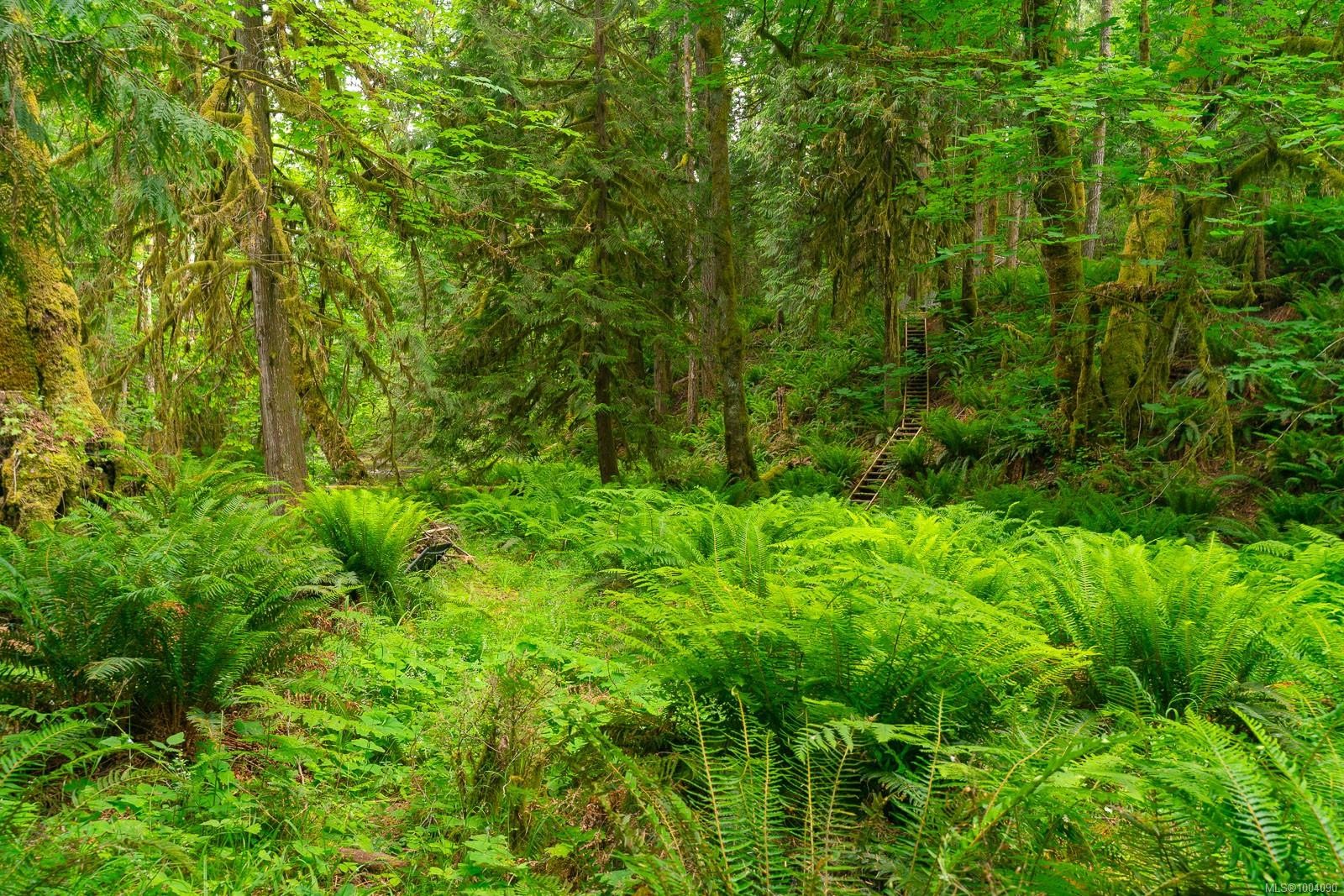 5625 Willow Rd, Port Alberni, BC