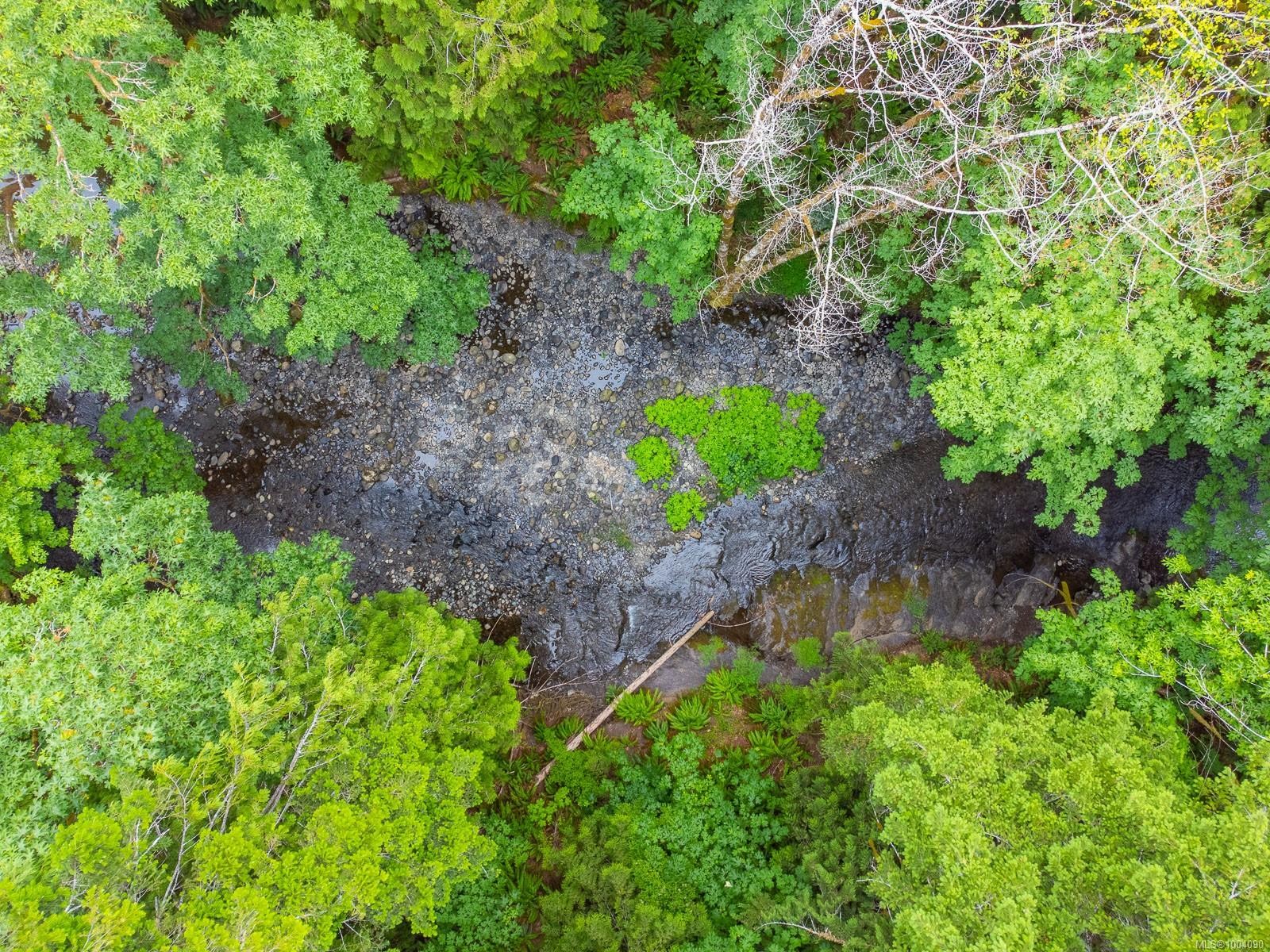 5625 Willow Rd, Port Alberni, BC