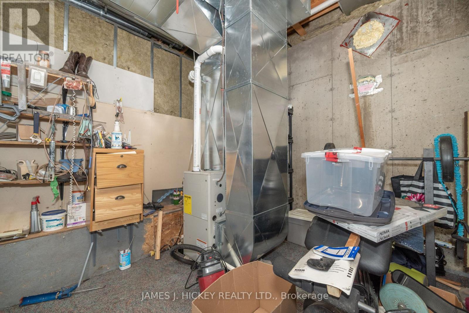 196 Loon Valley Lane, Head, Clara And Maria, ON - Indoor Photo Showing Basement