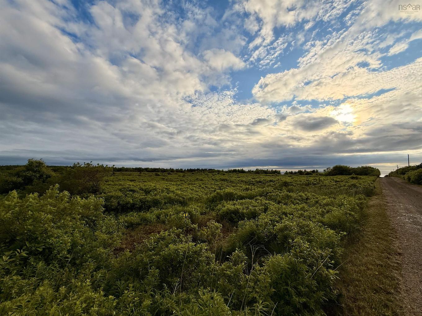 Chemin Simeon Aucoin Road, St. Joseph Du Moine, NS