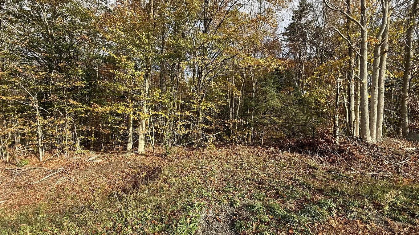 Lot 3 Easton Road, Hilltown, NS
