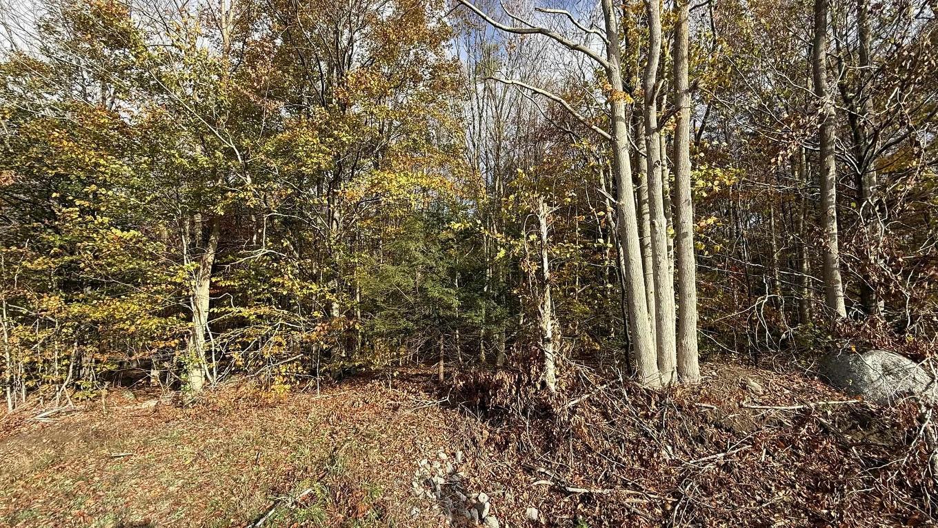 Lot 3 Easton Road, Hilltown, NS