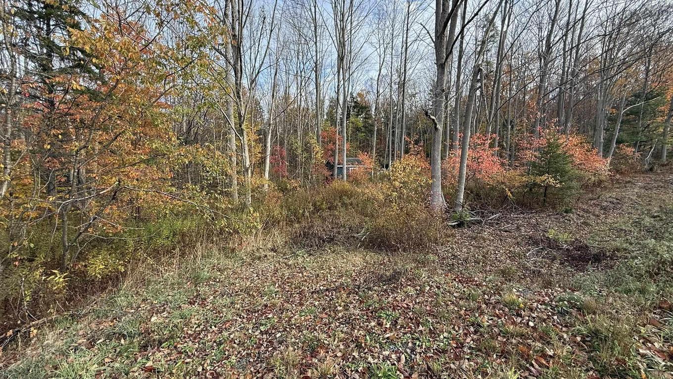 403 Easton Road, Hilltown, NS