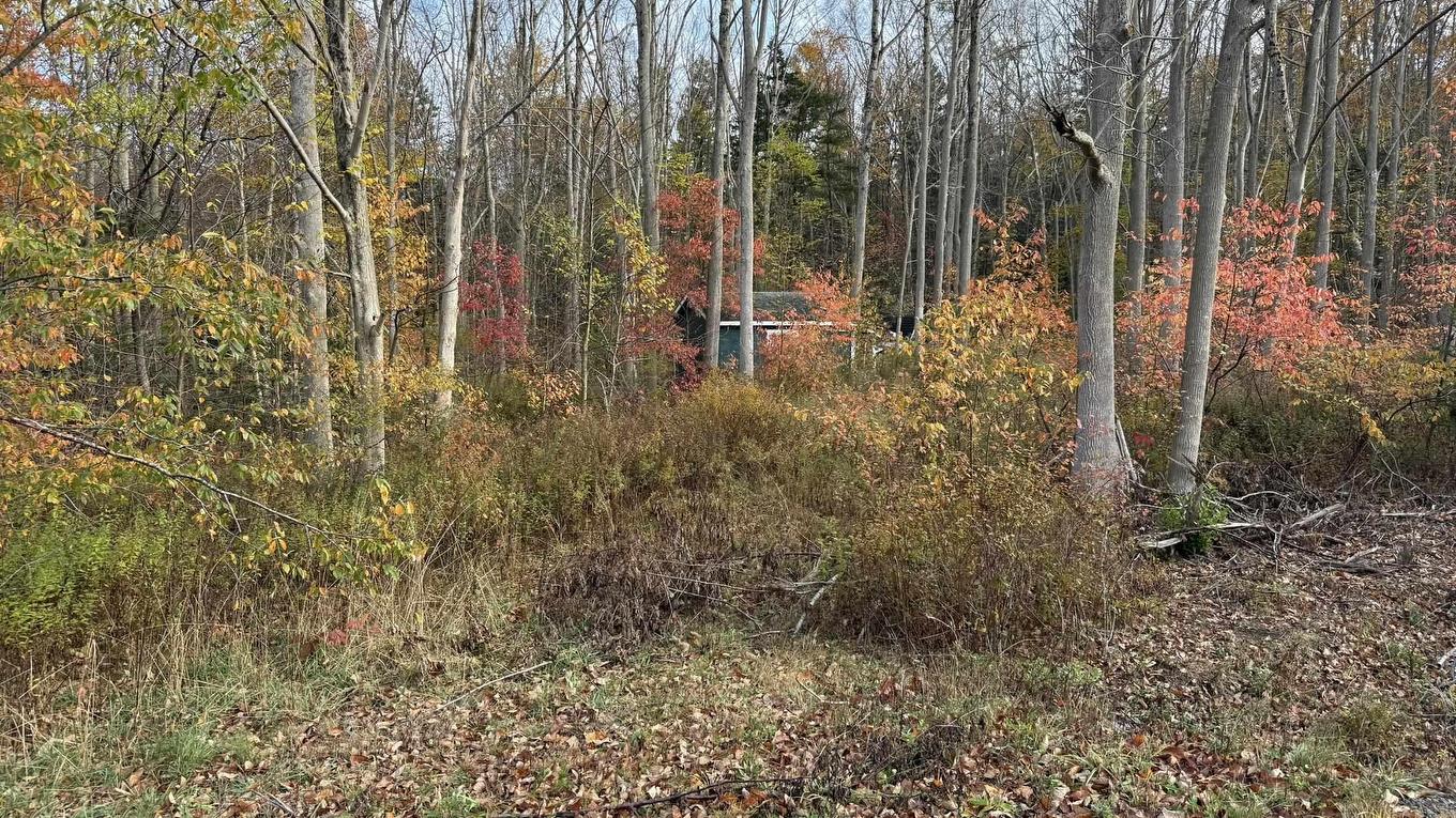 403 Easton Road, Hilltown, NS