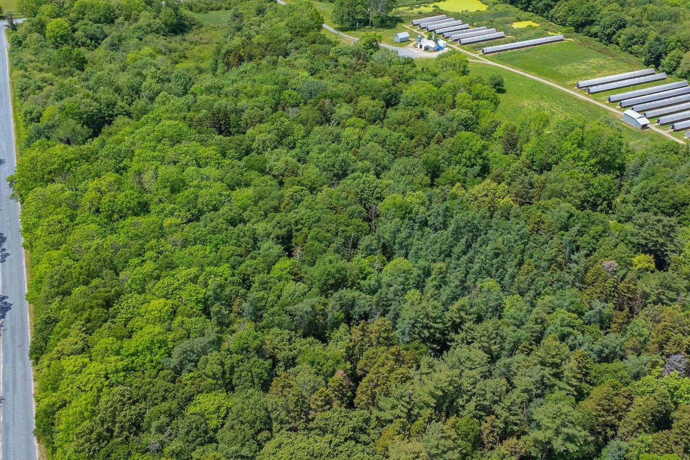 403 Easton Road, Hilltown, NS