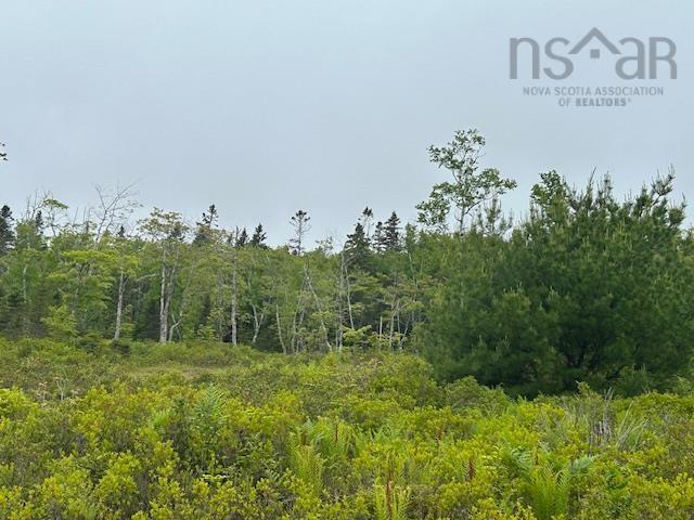 Lot 7 Bay Street, French Cove, NS