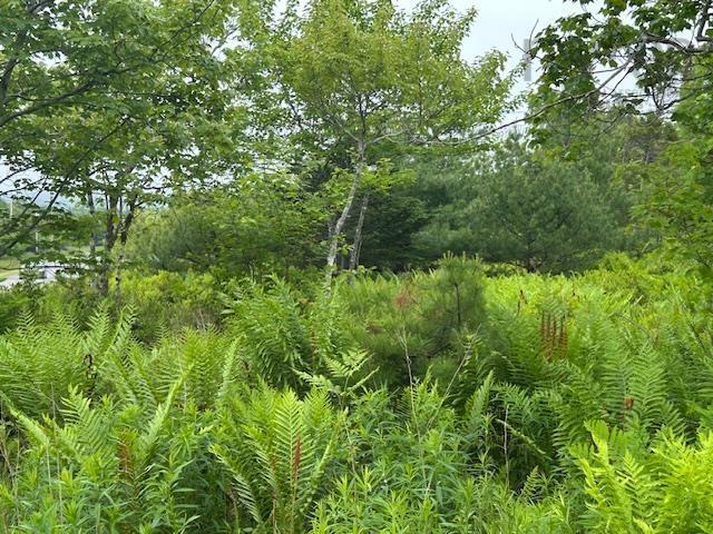 Lot 7 Bay Street, French Cove, NS