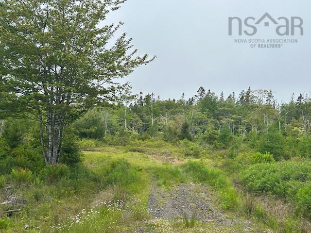 Lot 7 Bay Street, French Cove, NS