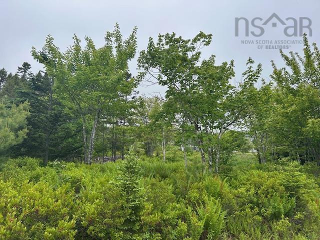 Lot 7 Bay Street, French Cove, NS