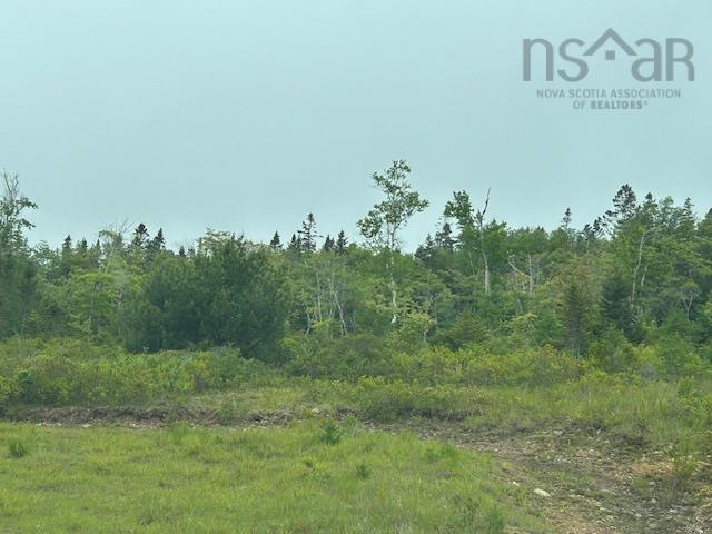 Lot 7 Bay Street, French Cove, NS