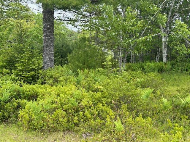 Lot 7 Bay Street, French Cove, NS