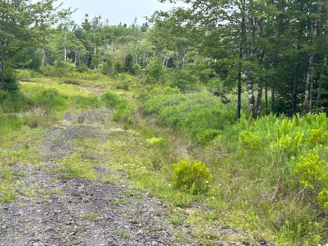 Lot 7 Bay Street, French Cove, NS