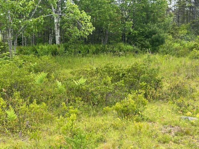 Lot 7 Bay Street, French Cove, NS