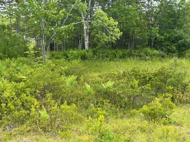 Lot 7 Bay Street, French Cove, NS