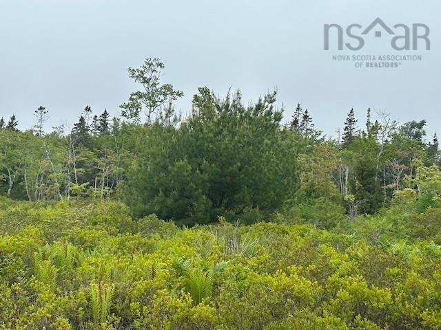 Lot 7 Bay Street, French Cove, NS