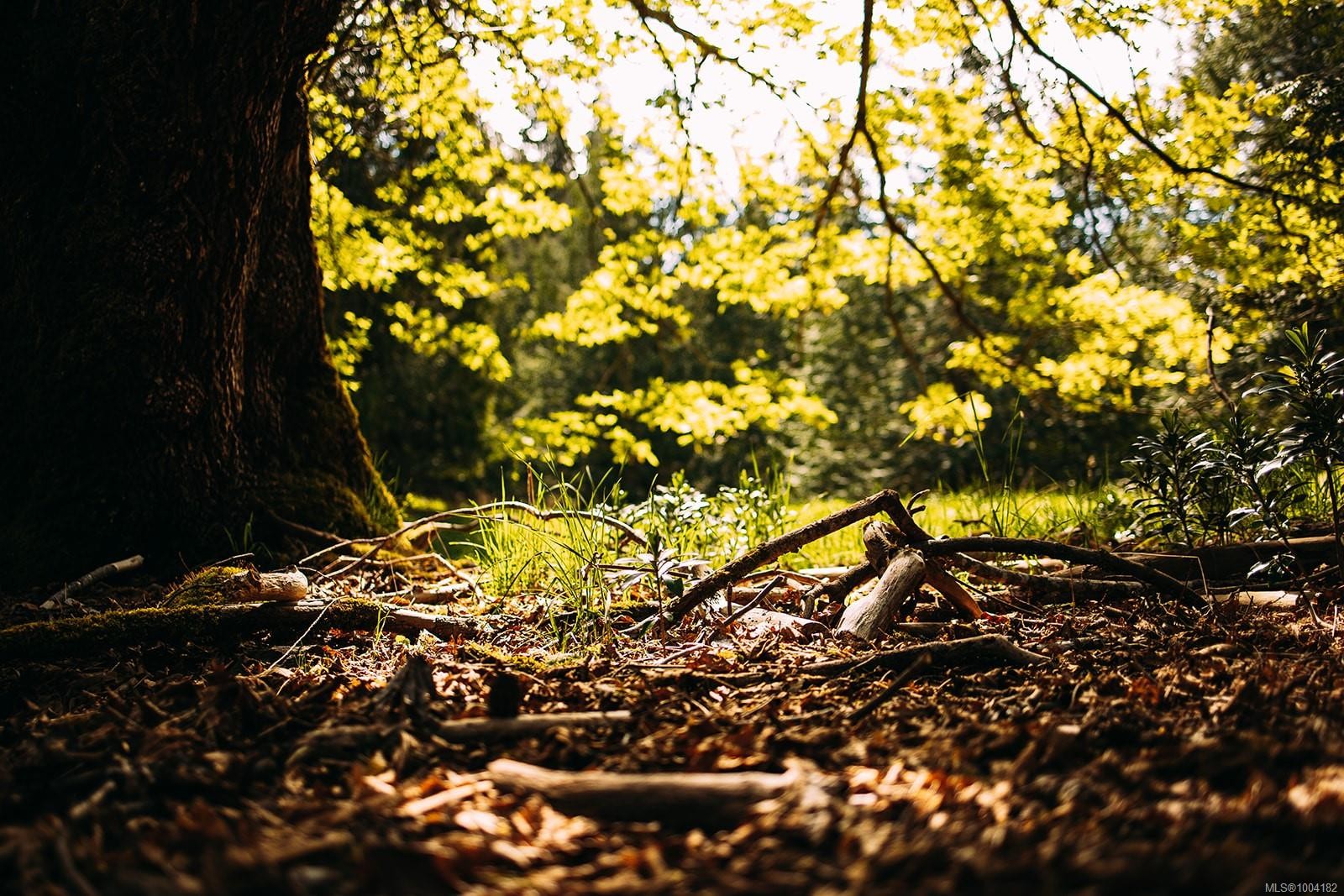 Lt 8 Sitka Grove, Gabriola Island, BC