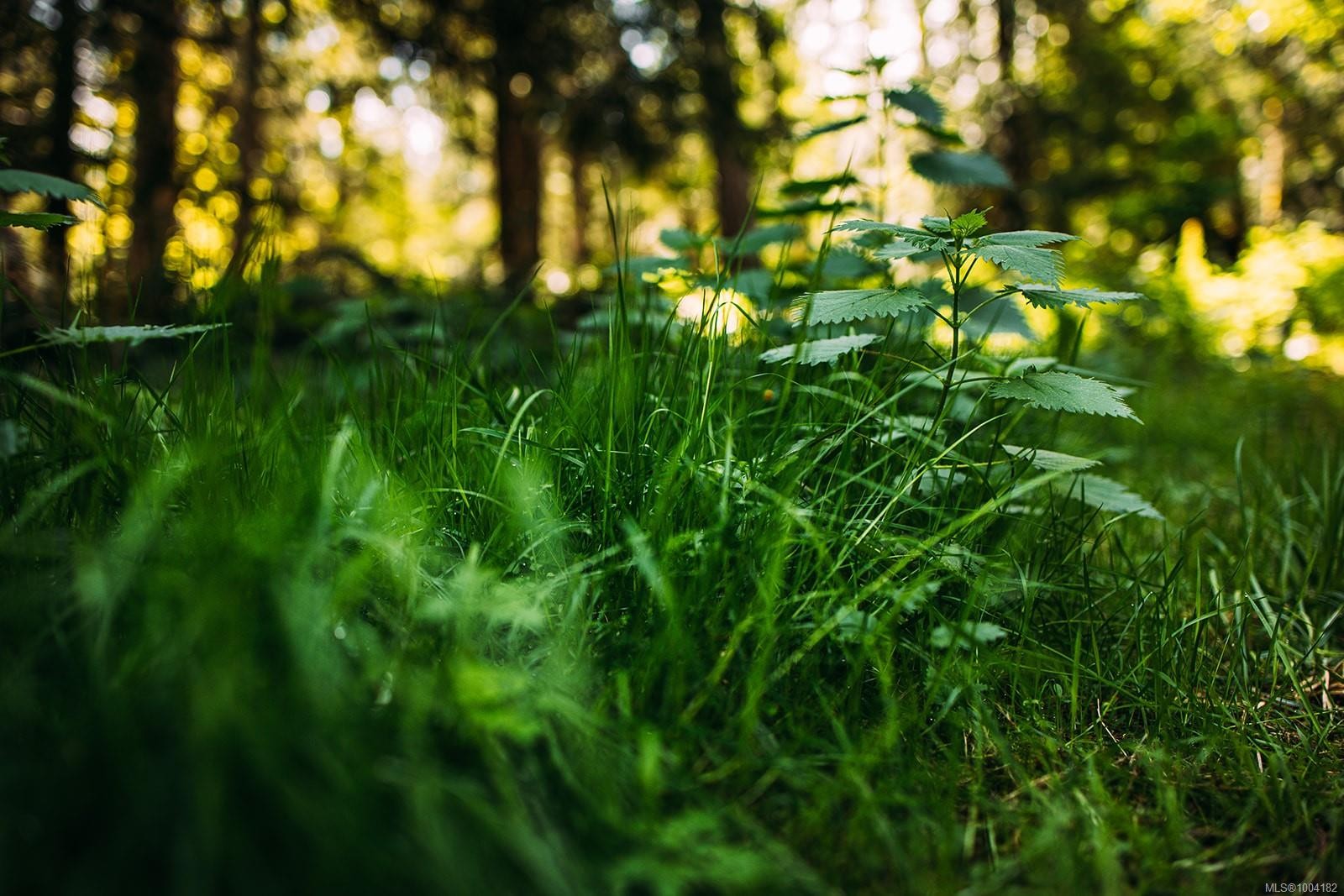 Lt 8 Sitka Grove, Gabriola Island, BC