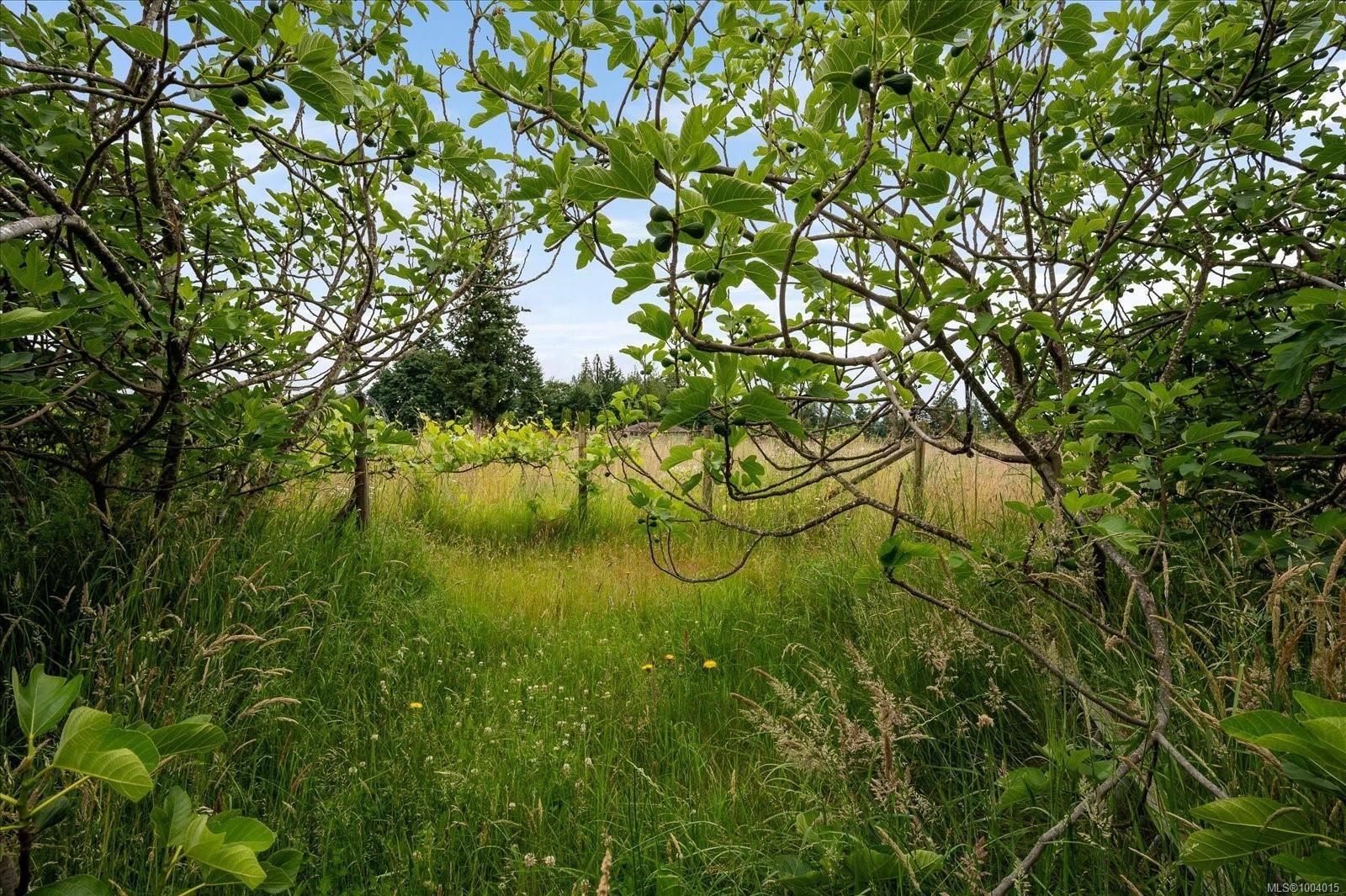 1550 Robson Lane Sw, Cowichan Bay, BC