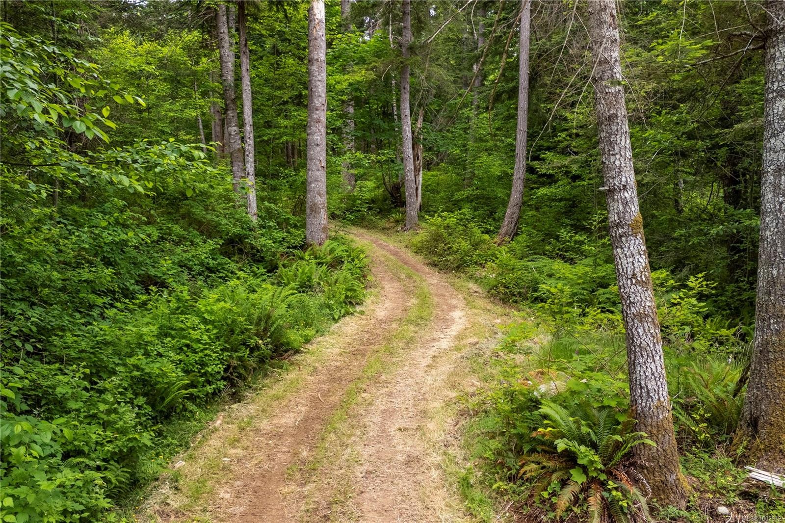 7884 Lenwood Rd, Merville, BC