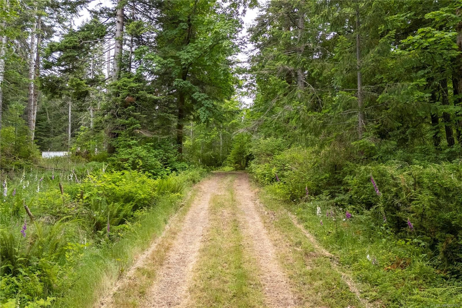 7884 Lenwood Rd, Merville, BC