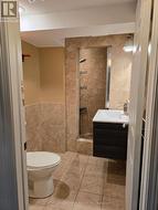 Basement bathroom -