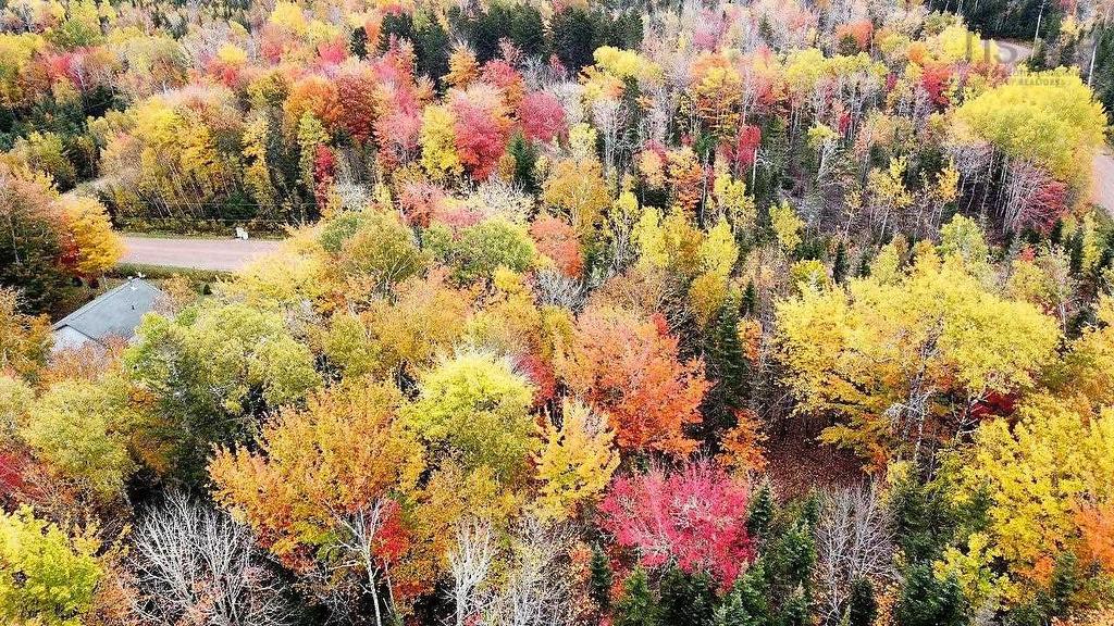 80-2 Carroll Crescent, Brookdale, NS