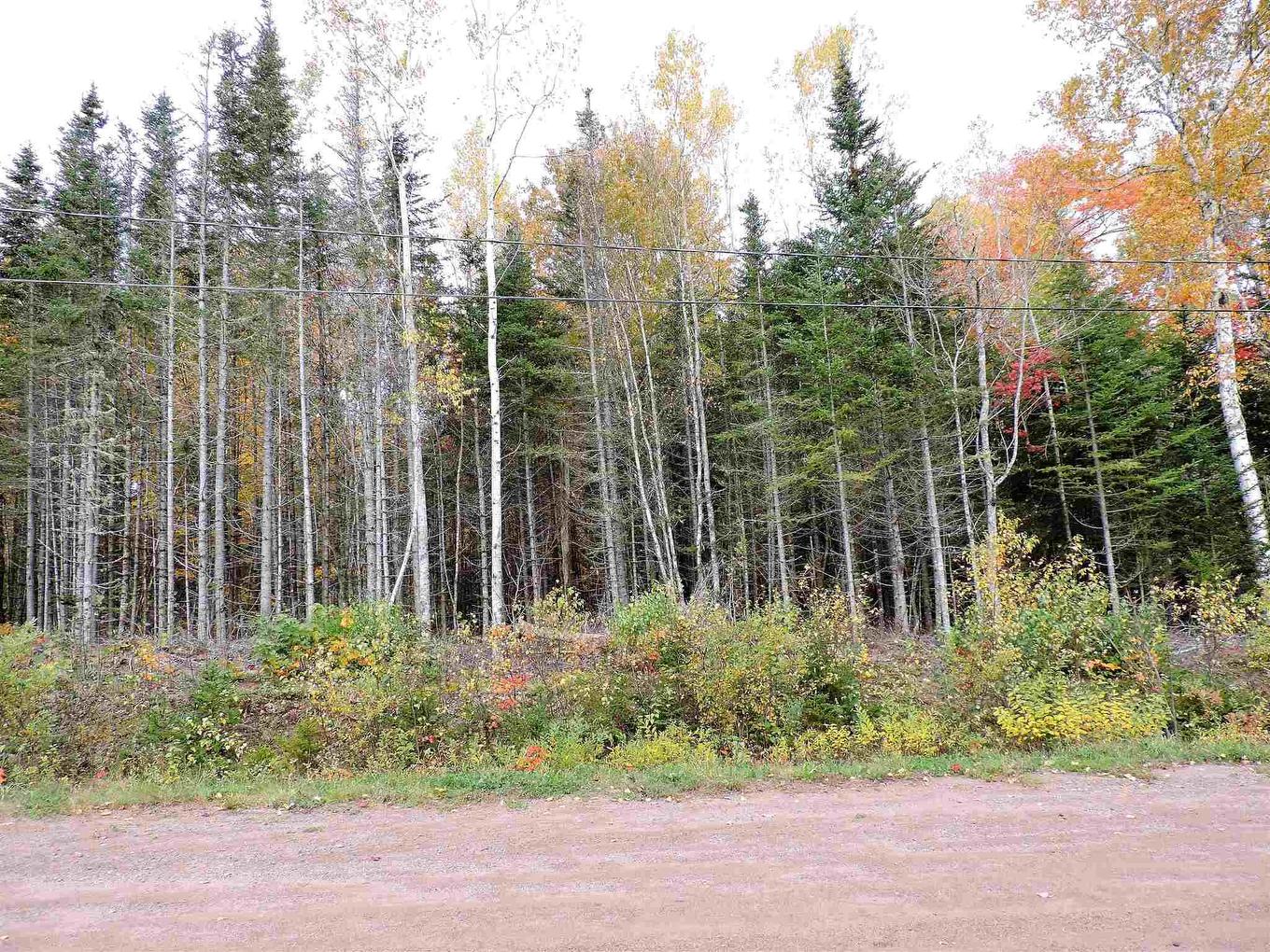 80-2 Carroll Crescent, Brookdale, NS