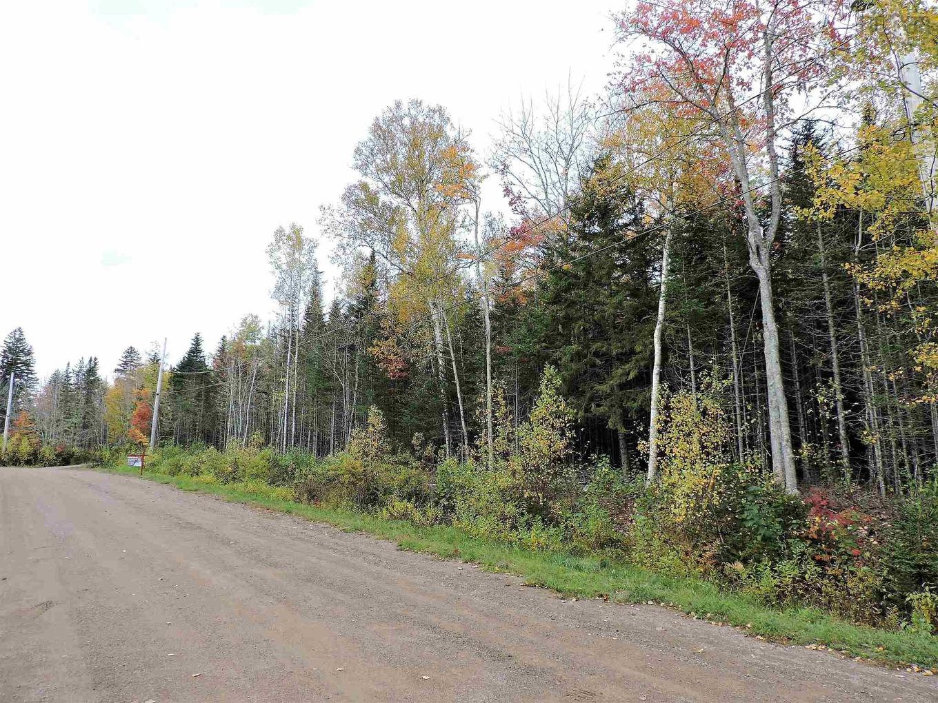 80-2 Carroll Crescent, Brookdale, NS