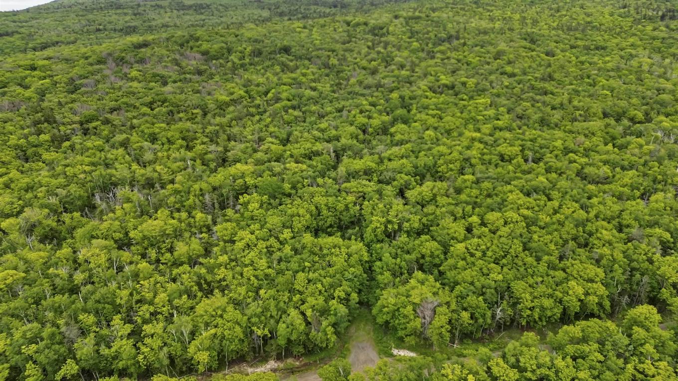 Lots Broad Cove Road, Culloden, NS