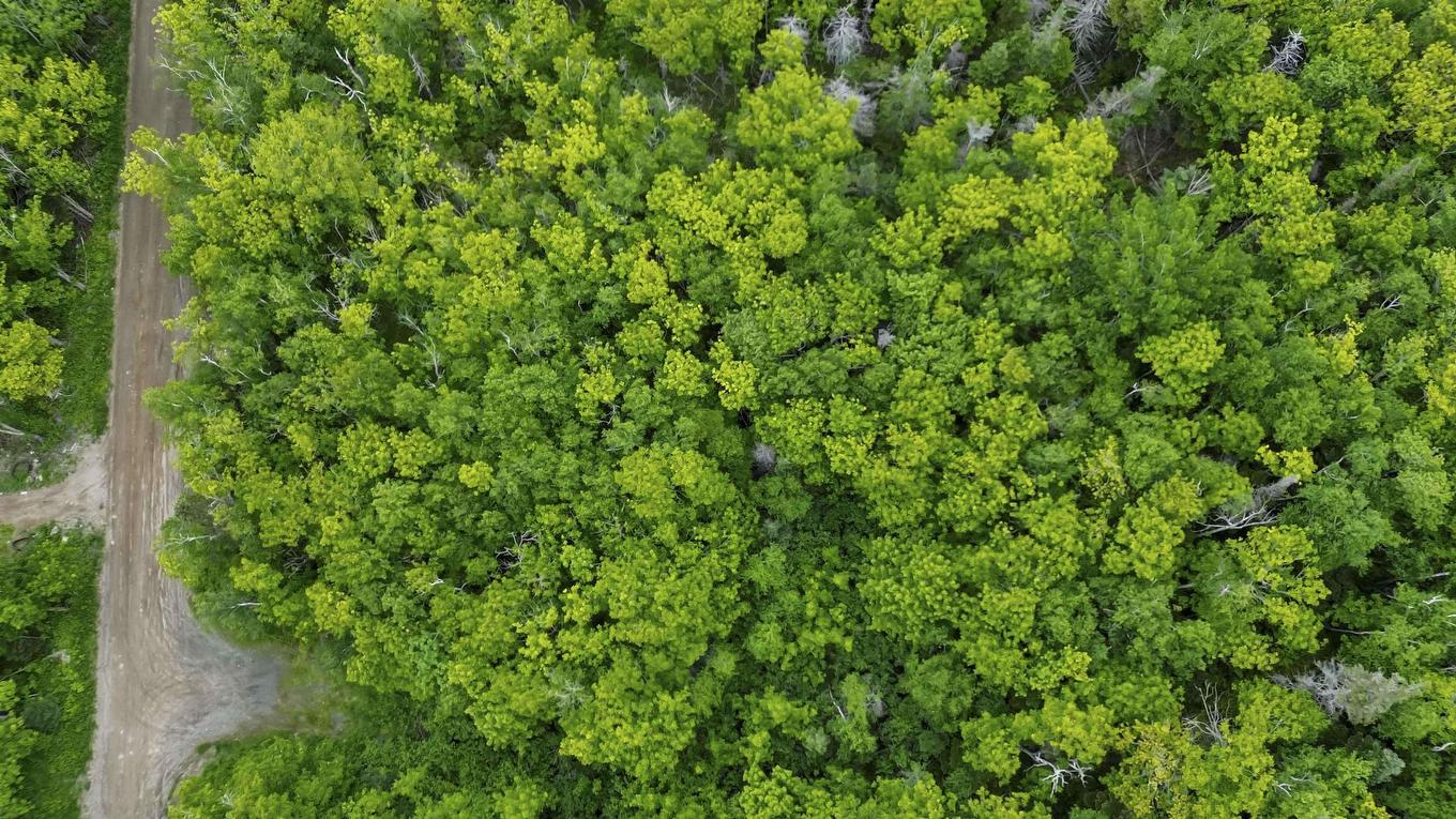 Lots Broad Cove Road, Culloden, NS